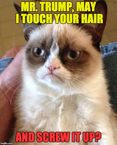 Grumpy Cat Meme | MR. TRUMP, MAY I TOUCH YOUR HAIR AND SCREW IT UP? | image tagged in memes,grumpy cat | made w/ Imgflip meme maker