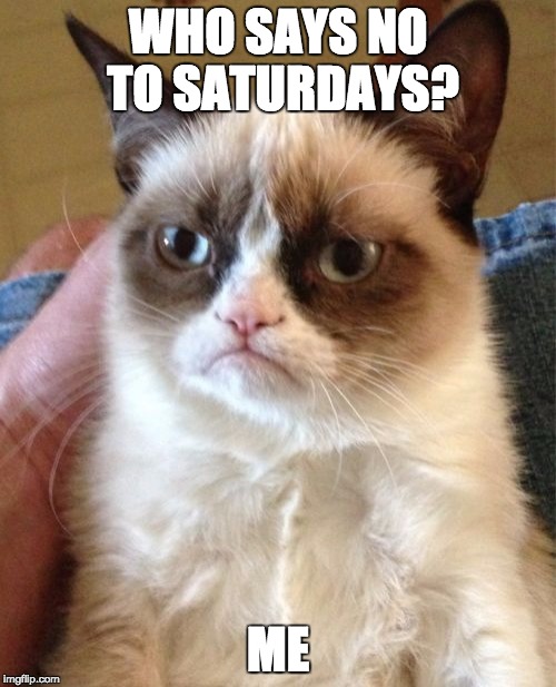 grumpy cat hates saturdays | WHO SAYS NO TO SATURDAYS? ME | image tagged in memes,grumpy cat | made w/ Imgflip meme maker