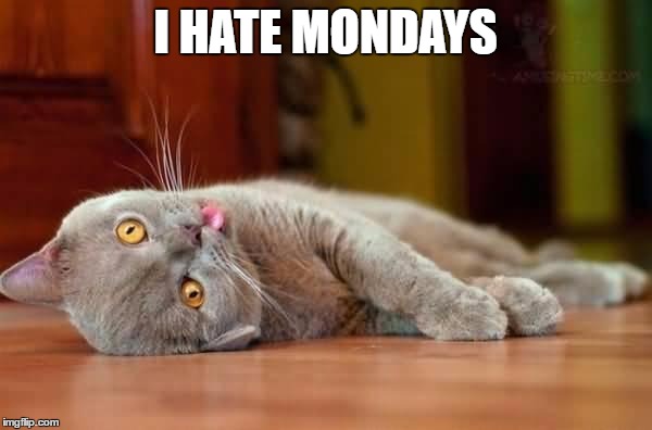 I HATE MONDAYS | made w/ Imgflip meme maker