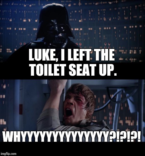 Star Wars No | LUKE, I LEFT THE TOILET SEAT UP. WHYYYYYYYYYYYYYY?!?!?! | image tagged in memes,star wars no | made w/ Imgflip meme maker