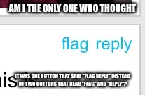AM I THE ONLY ONE WHO THOUGHT; IT WAS ONE BUTTON THAT SAID "FLAG REPLY" INSTEAD OF TWO BUTTONS THAT READ "FLAG" AND "REPLY"? | image tagged in memes,imgflip | made w/ Imgflip meme maker