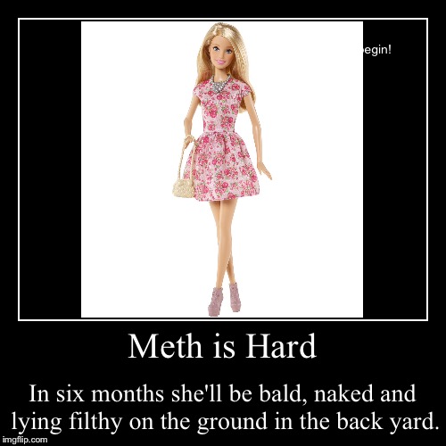 Truth. | image tagged in funny,demotivationals,barbie,meth | made w/ Imgflip demotivational maker