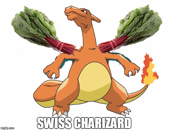 Swiss Charizard | SWISS CHARIZARD | image tagged in pokemon go,charizard | made w/ Imgflip meme maker