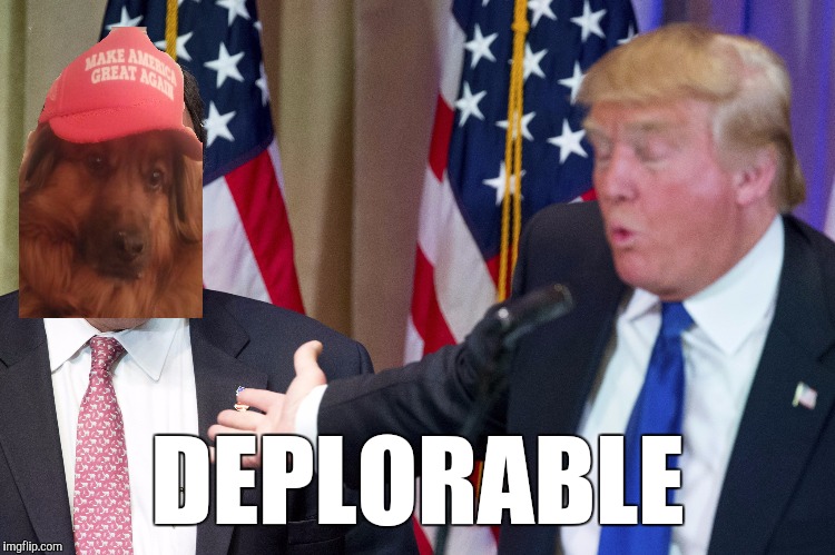 Chris Christie | DEPLORABLE | image tagged in chris christie | made w/ Imgflip meme maker