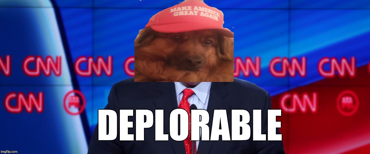 Needs a shave | DEPLORABLE | image tagged in chris christie,trump supporters,dog,make america great again | made w/ Imgflip meme maker