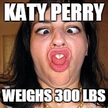 In The not too distant future  |  KATY PERRY; WEIGHS 300 LBS | image tagged in stupid people be like | made w/ Imgflip meme maker