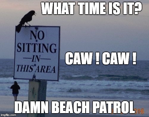 WHAT TIME IS IT? CAW ! CAW ! DAMN BEACH PATROL | image tagged in day at the beach | made w/ Imgflip meme maker