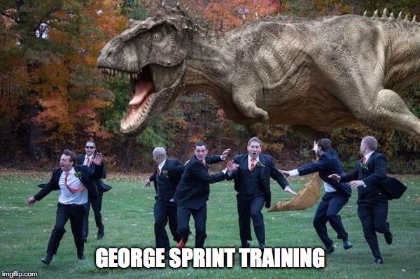 angry dinosaur | GEORGE SPRINT TRAINING | image tagged in angry dinosaur | made w/ Imgflip meme maker