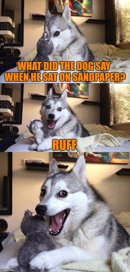 Bad Pun Dog | WHAT DID THE DOG SAY WHEN HE SAT ON SANDPAPER? RUFF | image tagged in memes,bad pun dog | made w/ Imgflip meme maker