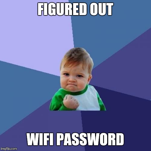 Success Kid Meme | FIGURED OUT; WIFI PASSWORD | image tagged in memes,success kid | made w/ Imgflip meme maker
