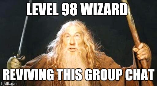 you shall not pass | LEVEL 98 WIZARD; REVIVING THIS GROUP CHAT | image tagged in you shall not pass | made w/ Imgflip meme maker