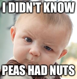 Skeptical Baby Meme | I DIDN'T KNOW PEAS HAD NUTS | image tagged in memes,skeptical baby | made w/ Imgflip meme maker