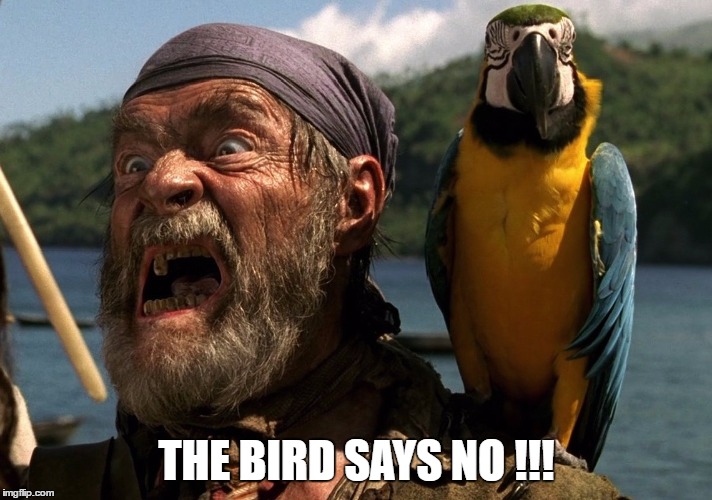 THE BIRD SAYS NO !!! | made w/ Imgflip meme maker