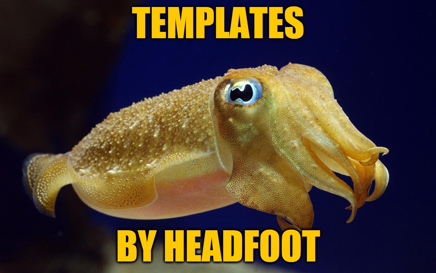 TEMPLATES; BY HEADFOOT | made w/ Imgflip meme maker