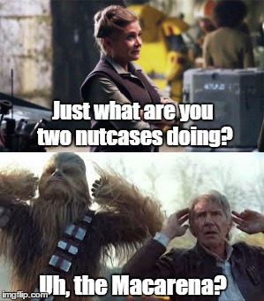 Busted | Just what are you two nutcases doing? Uh, the Macarena? | image tagged in star wars,old han and chewie,general leia organa | made w/ Imgflip meme maker