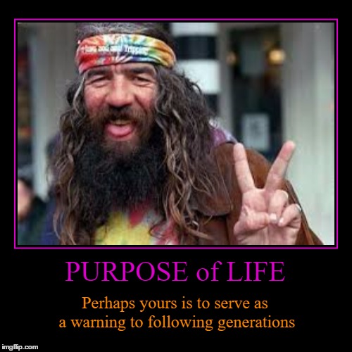 Purpose of Life | image tagged in funny,demotivationals,hippie,drugs,pot head | made w/ Imgflip demotivational maker