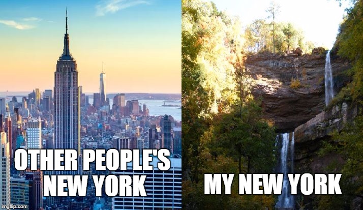 MY NEW YORK; OTHER PEOPLE'S NEW YORK | image tagged in new york,nyc | made w/ Imgflip meme maker