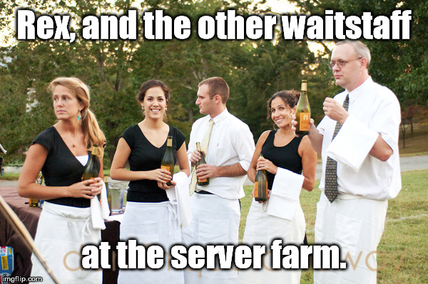 It was hard explaining to little Bobby where his favorite waiter had gone ... | Rex, and the other waitstaff; at the server farm. | image tagged in waiter,farm | made w/ Imgflip meme maker