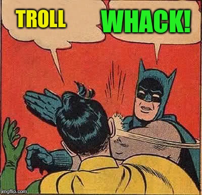 Batman Slapping Robin Meme | TROLL WHACK! | image tagged in memes,batman slapping robin | made w/ Imgflip meme maker