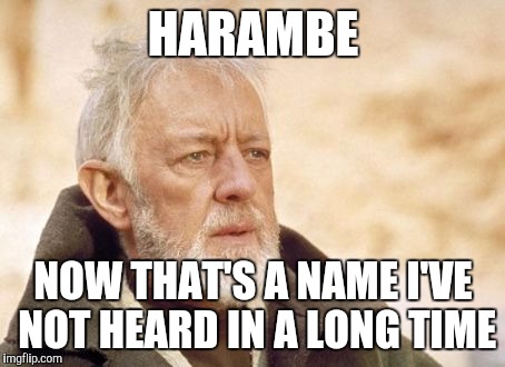 Obi Wan Kenobi | HARAMBE; NOW THAT'S A NAME I'VE NOT HEARD IN A LONG TIME | image tagged in memes,obi wan kenobi | made w/ Imgflip meme maker