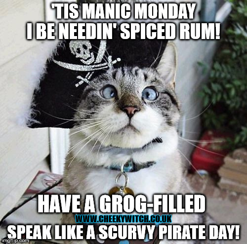 Talk Like a Pirate Manic Monday | 'TIS MANIC MONDAY; I BE NEEDIN' SPICED RUM! HAVE A GROG-FILLED; SPEAK LIKE A SCURVY PIRATE DAY! WWW.CHEEKYWITCH.CO.UK | image tagged in pirates,talk like a pirate day,cats,spangles | made w/ Imgflip meme maker