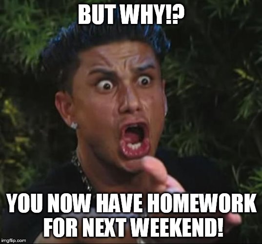 Pauly | BUT WHY!? YOU NOW HAVE HOMEWORK FOR NEXT WEEKEND! | image tagged in pauly | made w/ Imgflip meme maker