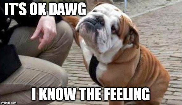 There There Dog | IT'S OK DAWG I KNOW THE FEELING | image tagged in there there dog | made w/ Imgflip meme maker