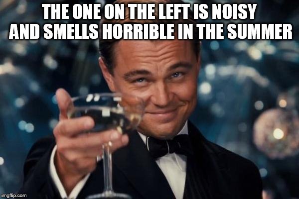 Leonardo Dicaprio Cheers Meme | THE ONE ON THE LEFT IS NOISY AND SMELLS HORRIBLE IN THE SUMMER | image tagged in memes,leonardo dicaprio cheers | made w/ Imgflip meme maker