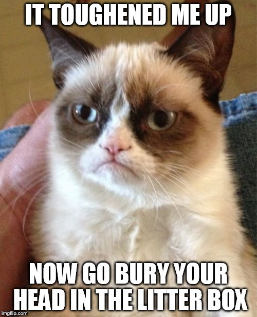 Grumpy Cat Meme | IT TOUGHENED ME UP NOW GO BURY YOUR HEAD IN THE LITTER BOX | image tagged in memes,grumpy cat | made w/ Imgflip meme maker