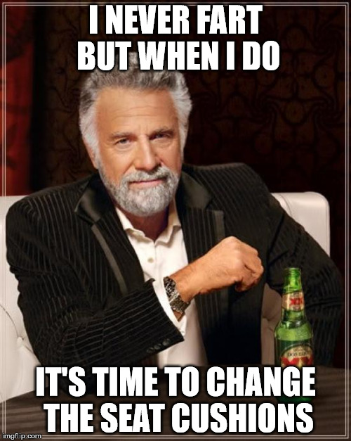 The Most Interesting Man In The World | I NEVER FART BUT WHEN I DO; IT'S TIME TO CHANGE THE SEAT CUSHIONS | image tagged in memes,the most interesting man in the world | made w/ Imgflip meme maker