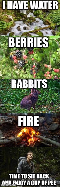 Roughing it | I HAVE WATER; BERRIES; RABBITS; FIRE; TIME TO SIT BACK AND ENJOY A CUP OF PEE | image tagged in memes,funny,bear grylls | made w/ Imgflip meme maker