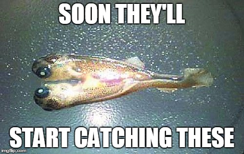 SOON THEY'LL START CATCHING THESE | made w/ Imgflip meme maker