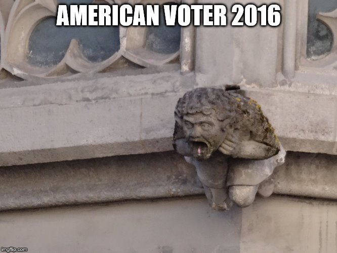American voter | AMERICAN VOTER 2016 | image tagged in hillary | made w/ Imgflip meme maker