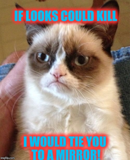 Have you looked at yourself lately! | IF LOOKS COULD KILL; I WOULD TIE YOU TO A MIRROR! | image tagged in memes,grumpy cat | made w/ Imgflip meme maker