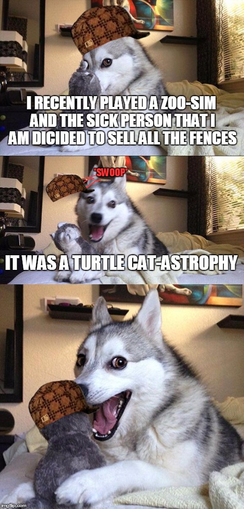 Bad Pun Dog | I RECENTLY PLAYED A ZOO-SIM AND THE SICK PERSON THAT I AM DICIDED TO SELL ALL THE FENCES; *SWOOP*; IT WAS A TURTLE CAT-ASTROPHY | image tagged in memes,bad pun dog,scumbag,insane,zoo,hat-trick | made w/ Imgflip meme maker