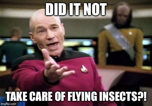 Picard Wtf Meme | DID IT NOT TAKE CARE OF FLYING INSECTS?! | image tagged in memes,picard wtf | made w/ Imgflip meme maker