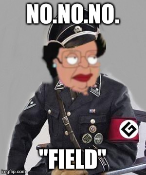 Consuela grammar maid | NO.NO.NO. "FIELD" | image tagged in consuela grammar maid | made w/ Imgflip meme maker