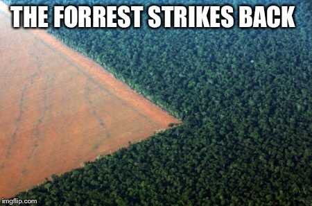 Yum yum | THE FORREST STRIKES BACK | image tagged in pacman,forrest,memes | made w/ Imgflip meme maker