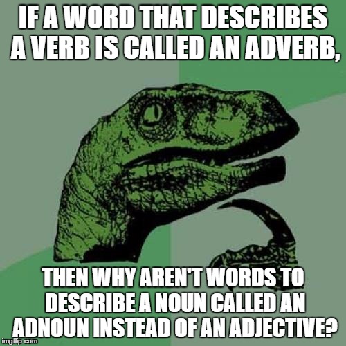 Philosoraptor Meme | IF A WORD THAT DESCRIBES A VERB IS CALLED AN ADVERB, THEN WHY AREN'T WORDS TO DESCRIBE A NOUN CALLED AN ADNOUN INSTEAD OF AN ADJECTIVE? | image tagged in memes,philosoraptor | made w/ Imgflip meme maker