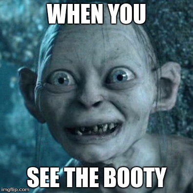 Gollum Meme | WHEN YOU; SEE THE BOOTY | image tagged in memes,gollum | made w/ Imgflip meme maker