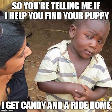 Third World Skeptical Kid Meme | SO YOU'RE TELLING ME IF I HELP YOU FIND YOUR PUPPY I GET CANDY AND A RIDE HOME | image tagged in memes,third world skeptical kid | made w/ Imgflip meme maker