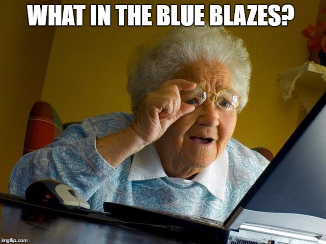 Grandma Finds The Internet Meme | WHAT IN THE BLUE BLAZES? | image tagged in memes,grandma finds the internet | made w/ Imgflip meme maker