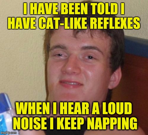 10 Guy Meme | I HAVE BEEN TOLD I HAVE CAT-LIKE REFLEXES; WHEN I HEAR A LOUD NOISE I KEEP NAPPING | image tagged in memes,10 guy | made w/ Imgflip meme maker