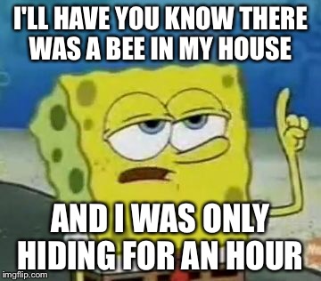 I'll Have You Know Spongebob |  I'LL HAVE YOU KNOW THERE WAS A BEE IN MY HOUSE; AND I WAS ONLY HIDING FOR AN HOUR | image tagged in memes,ill have you know spongebob | made w/ Imgflip meme maker