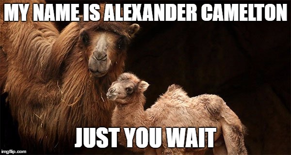 Alexander Camelton | MY NAME IS ALEXANDER CAMELTON; JUST YOU WAIT | image tagged in alexander camelton,alexander hamilton | made w/ Imgflip meme maker