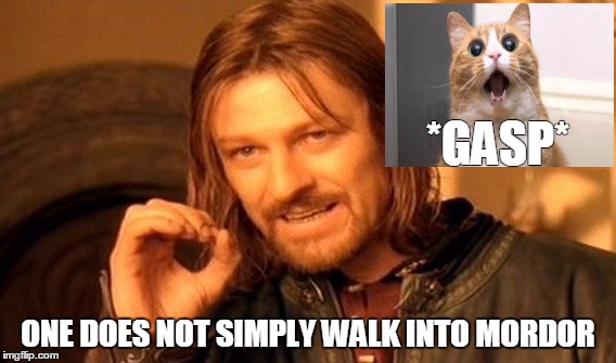 One Does Not Simply Meme | *GASP*; ONE DOES NOT SIMPLY WALK INTO MORDOR | image tagged in memes,one does not simply | made w/ Imgflip meme maker