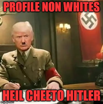 Donald Trump Hitler |  PROFILE NON WHITES; HEIL CHEETO HITLER | image tagged in donald trump hitler | made w/ Imgflip meme maker