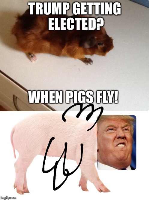TRUMP GETTING ELECTED? WHEN PIGS FLY! | image tagged in trump pig | made w/ Imgflip meme maker