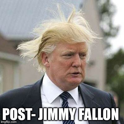Donald Trump | POST- JIMMY FALLON | image tagged in donald trump | made w/ Imgflip meme maker