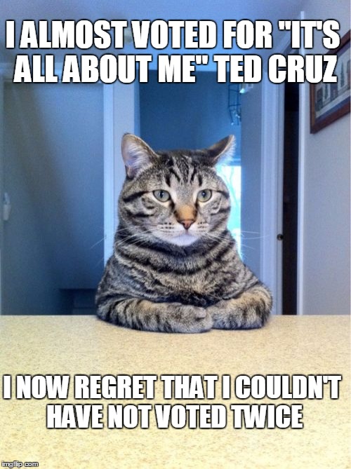 TED CRUZ YOU SUCK SO BAD FOR NOT SUPPORTING TRUMP | I ALMOST VOTED FOR "IT'S ALL ABOUT ME" TED CRUZ; I NOW REGRET THAT I COULDN'T HAVE NOT VOTED TWICE | image tagged in memes,take a seat cat,election 2016,ted cruz | made w/ Imgflip meme maker